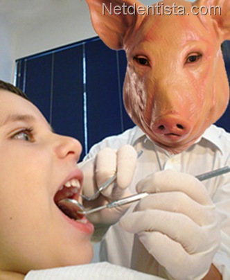 dentista porco
