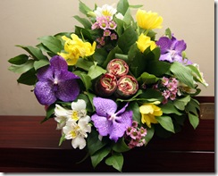 IMG_9380 IMG_9380
