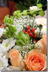 IMG_9423 IMG_9423