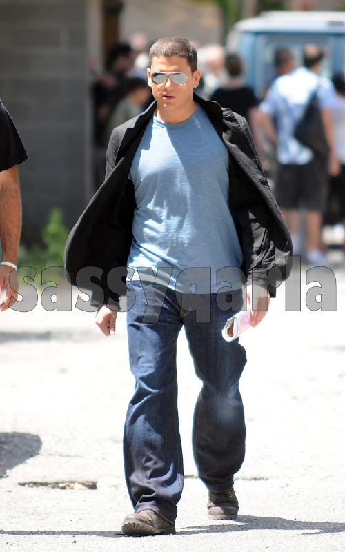 Wentworth Miller, Law and Order