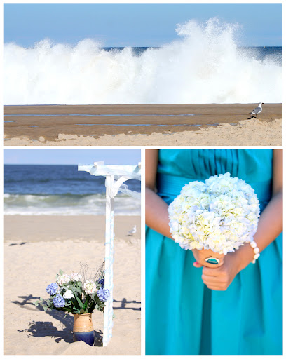 Rehoboth wedding 1