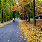 IMGP2739.JPG