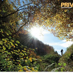 Privateer, Mountain Bike Syndrome, From the Publishers of Rouler, $25