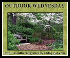 OutdoorWednesdaylogo5