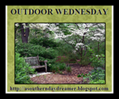 OutdoorWednesdaylogo545444 OutdoorWednesdaylogo545444