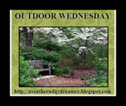 OutdoorWednesdaybutton5433333333333