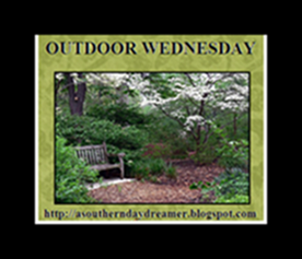 Outdoor Wednesday