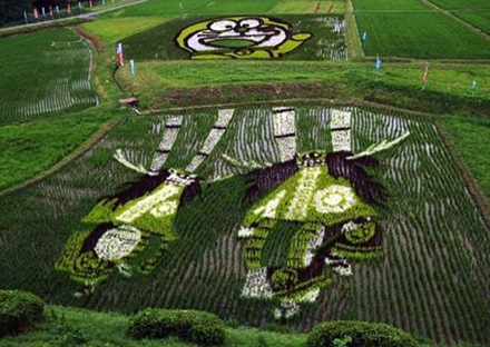 Japan Rice Fields (13)