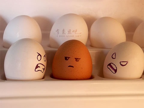 [Eggs (15)[3].jpg]