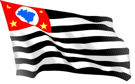 [bandeira-de-sao-paulo[8].jpg]