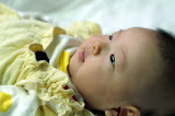 PICT4501.JPG