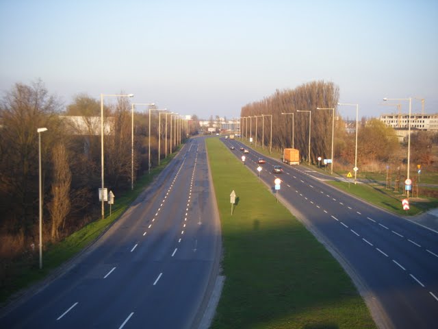 DSCF0915.JPG