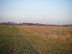 DSCF0923.JPG