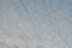 DSC_0071.JPG