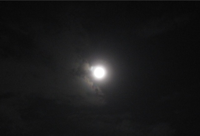 [moon[3].jpg]