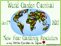 new year gardening resolutions
