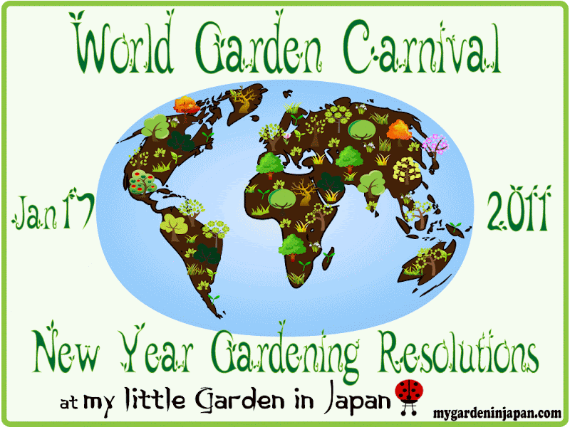 new year gardening resolutions