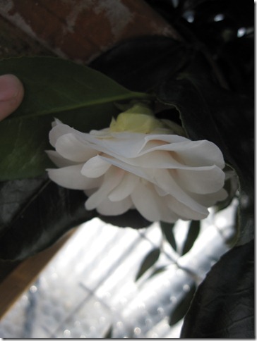 bloggebilder 004 bloggebilder 004