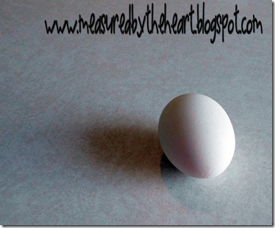 ordinary egg