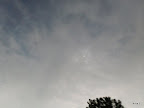 SDC10215.JPG
