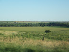 100_4673.JPG