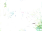 mackinac island 363.JPG