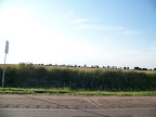 100_4670.JPG