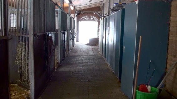 [Stall-fertig[5].jpg]