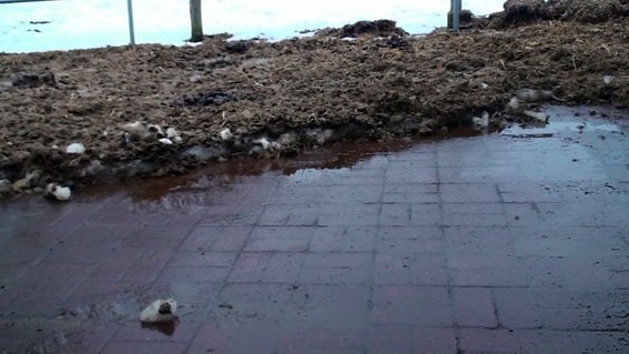 [auslaufcera7[3].jpg]