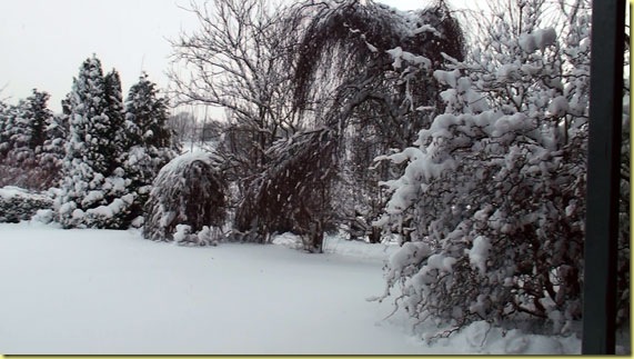 schnee