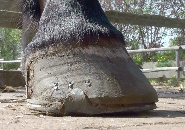 [20100427152428(1)[4].jpg]