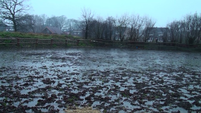 [regen[5].jpg]
