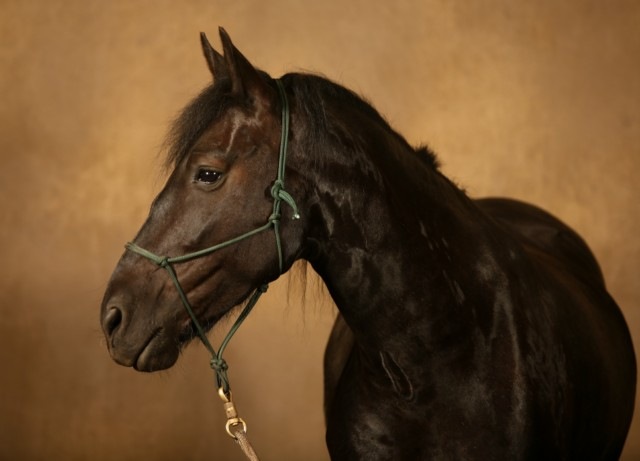 [IMG_0699 [640x480].jpg]