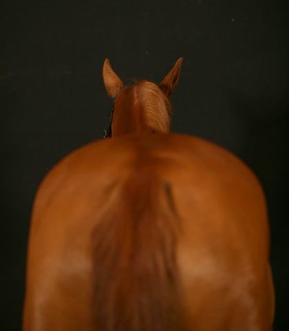 [IMG_1189 [640x480][3].jpg]