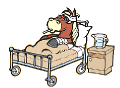 Cartoon-krankes-pferd