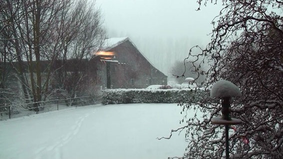 [schneesturm[4].jpg]