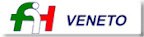 Comitato Veneto