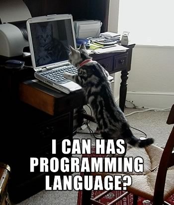 [lolcat[3].jpg]