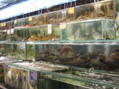 [IMG_17702.jpg]