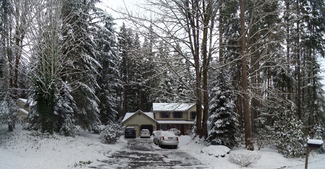 [Snowfall house[7].jpg]