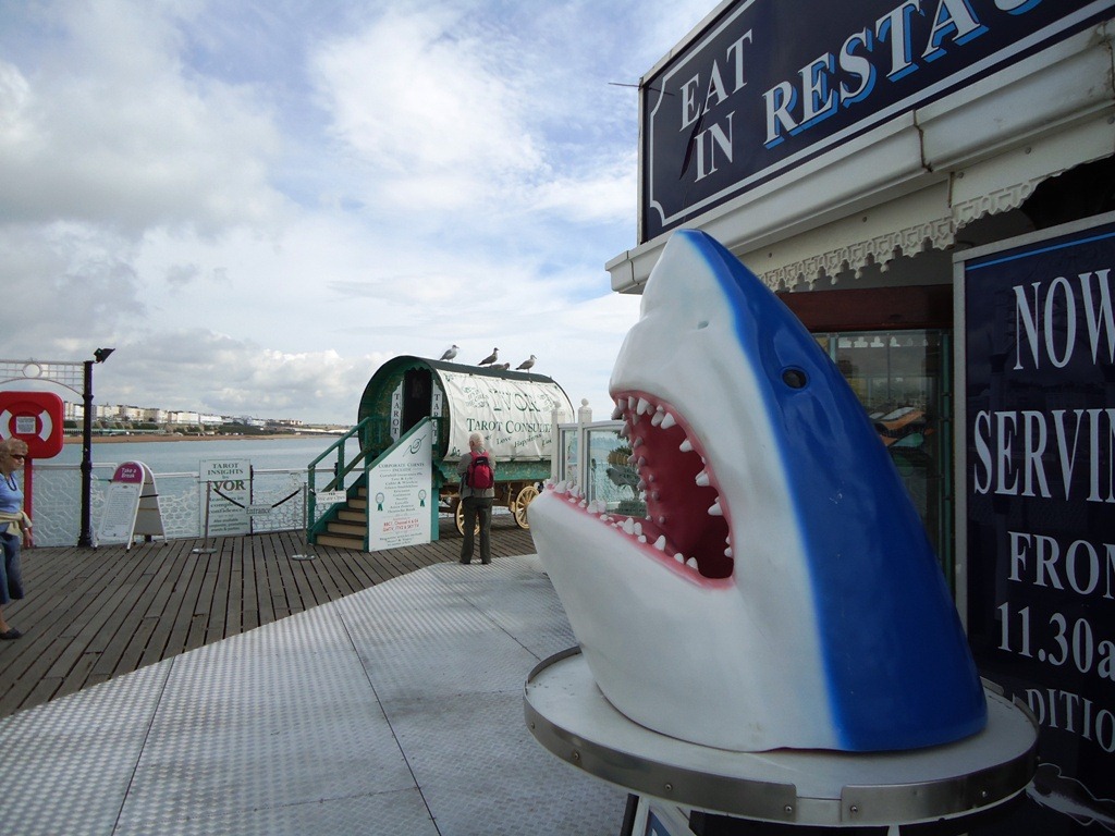 [Brighton 2[3].jpg]