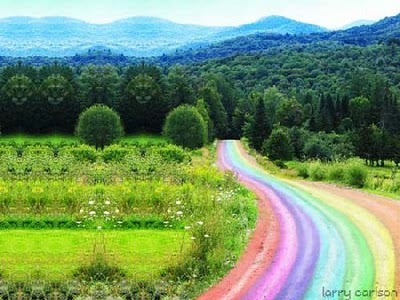 [camino arco iris[2].jpg]
