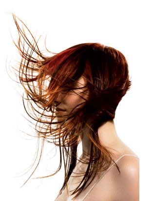 [hairuk214[3].jpg]