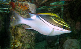 IMG_2631.JPG
