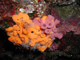 P1010011.JPG