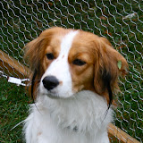 Bianca head shot