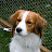 Bianca head shot