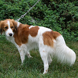 Bianca, left side
