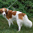 Bianca, left side