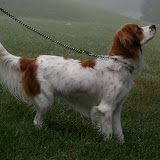 Bianca, right side